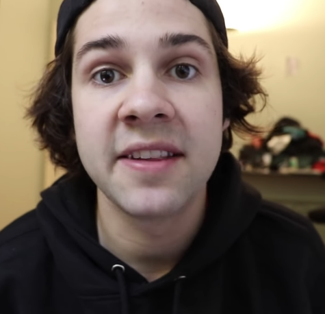 Youtuber Seth Calls David Dobrik Prank Video Sexual Assault