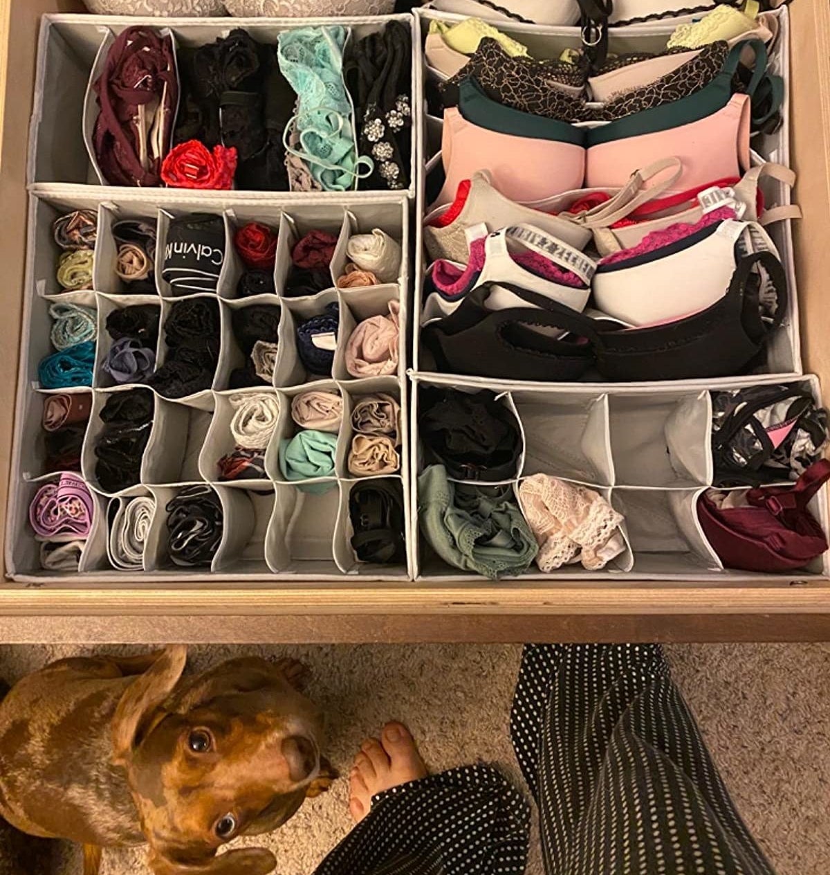 reviewer showing their drawer with the organizers in it 