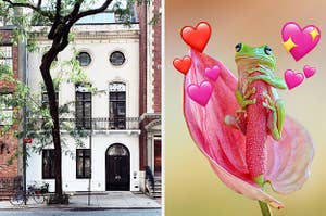 On the left, the exterior of an apartment on a city street with a tall tree out front, and on the right, a frog holding onto a flower with various heart emojis surrounding it