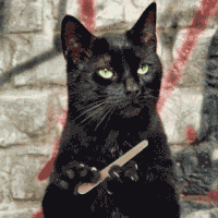 A gif of Salem from Sabrina the Teenage Witch filing his claws