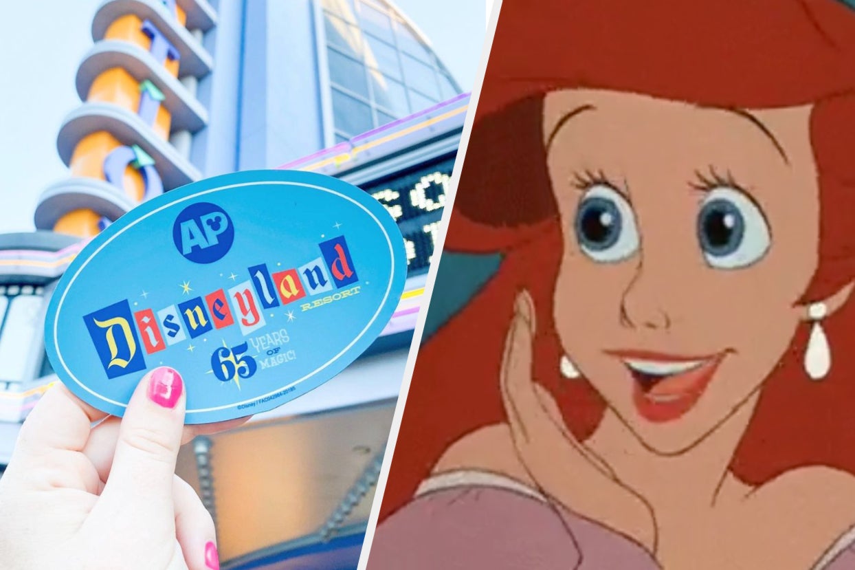 Disneyland AP magnet and Ariel in the Little Mermaid