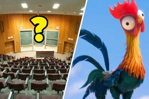 A lecture hall is shown on the left with a question mark and a Disney sidekick, Hei Hei on the right