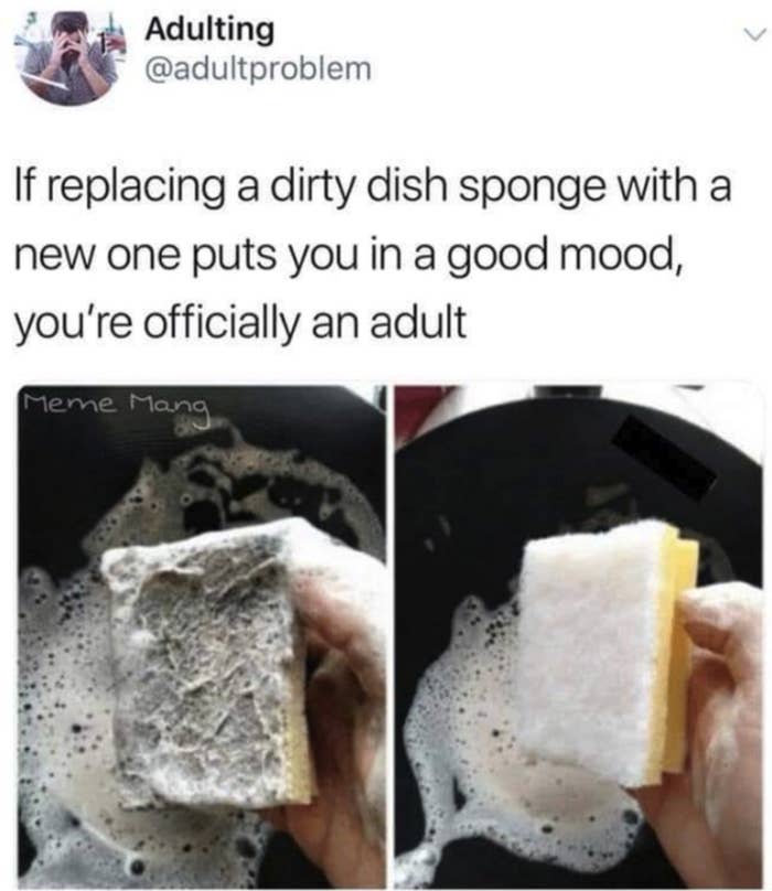 tweet about replacing sponges bringing you joy