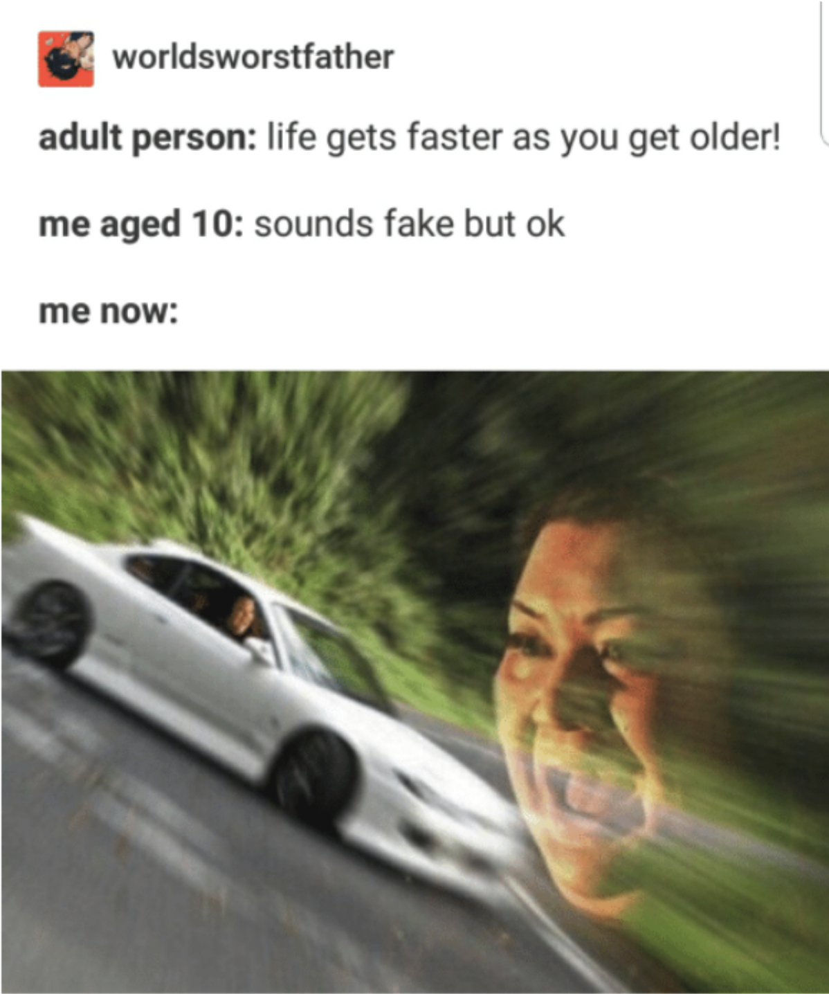 tumblr post about time moving faster now that you&#x27;re an adult