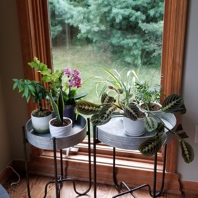 Review photo of the round plant stand
