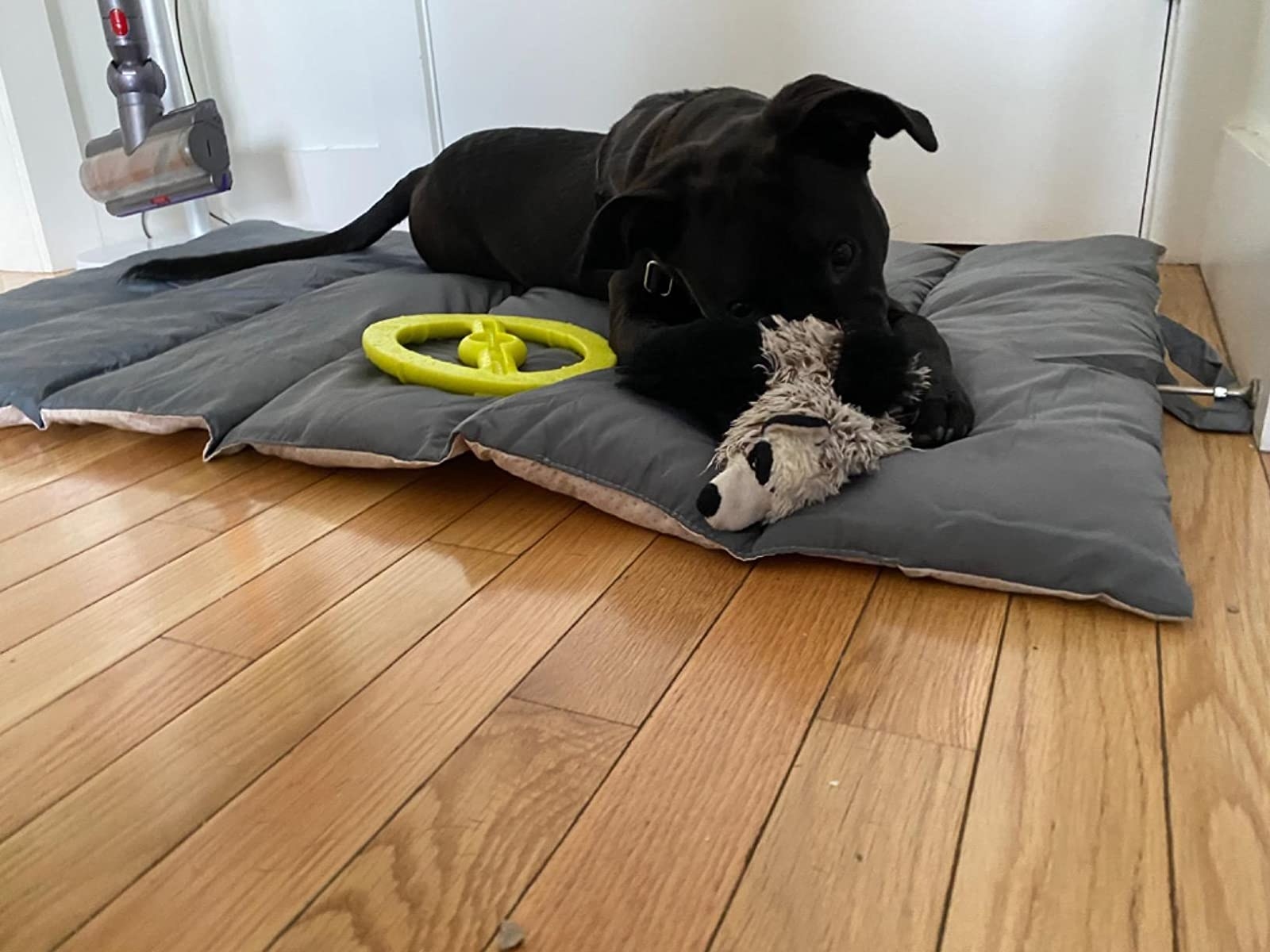 The mat with a lounging dog on top