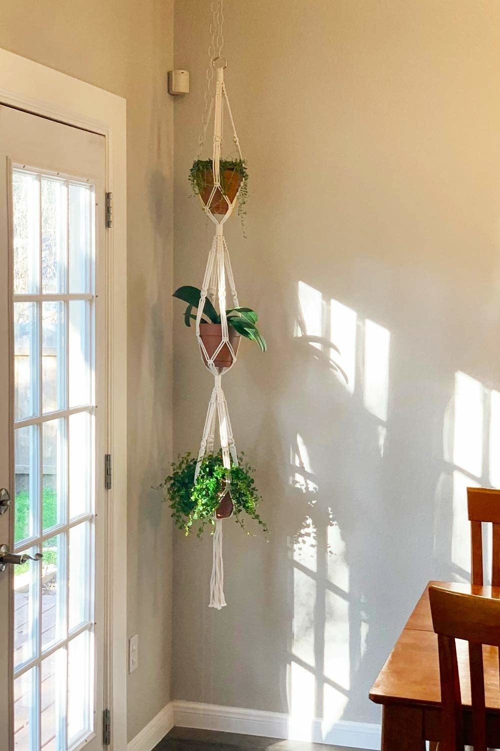 Planters, Pots & Stands To Make Any Plant Parent's Day