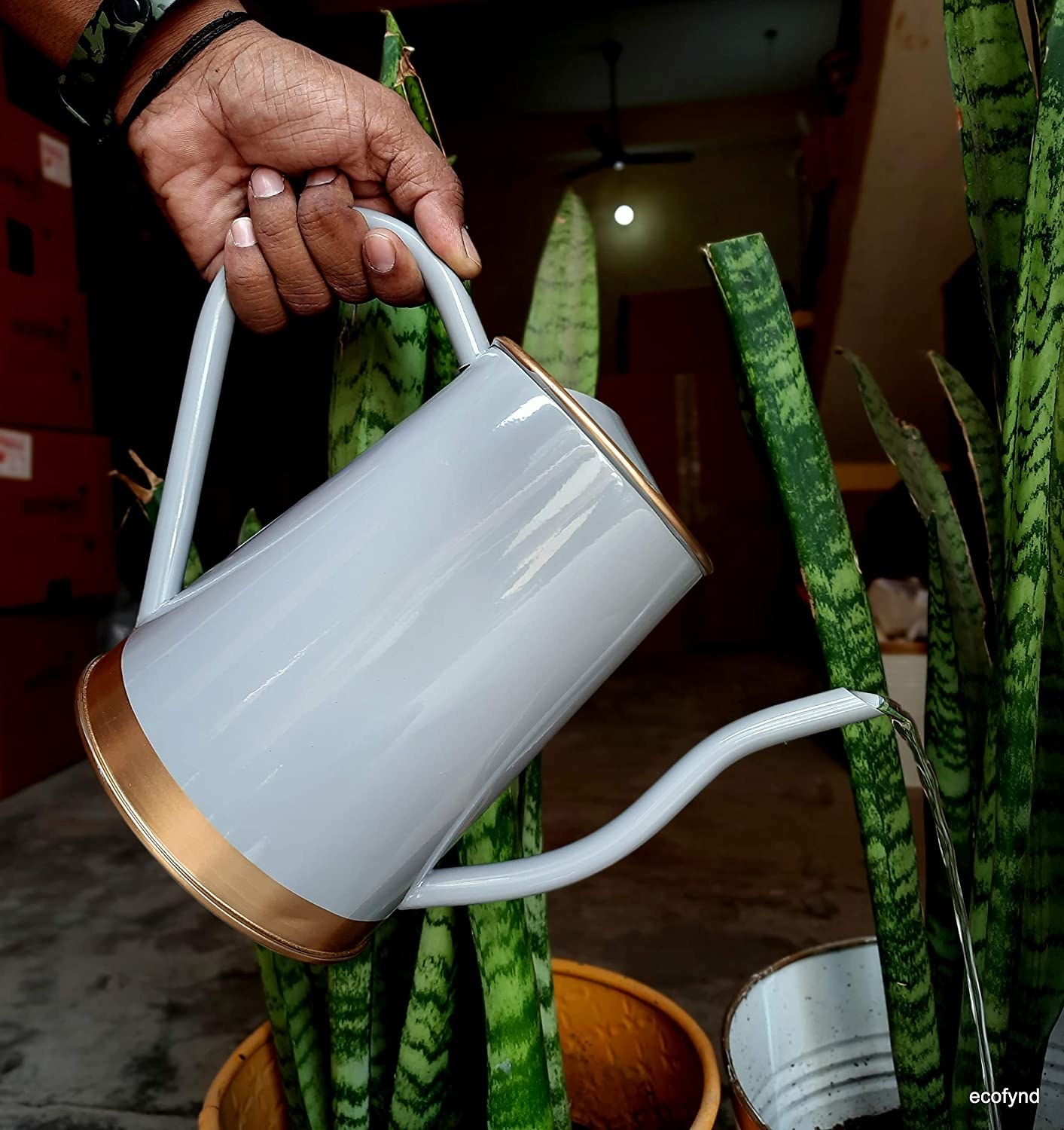 A hand watering plants.