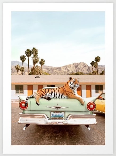 A tiger lying on an old school car in front of a motel in a dessert