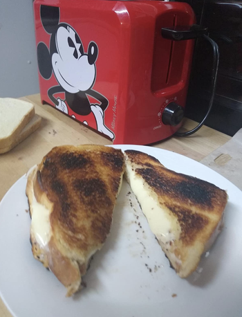 A grilled cheese sandwich 