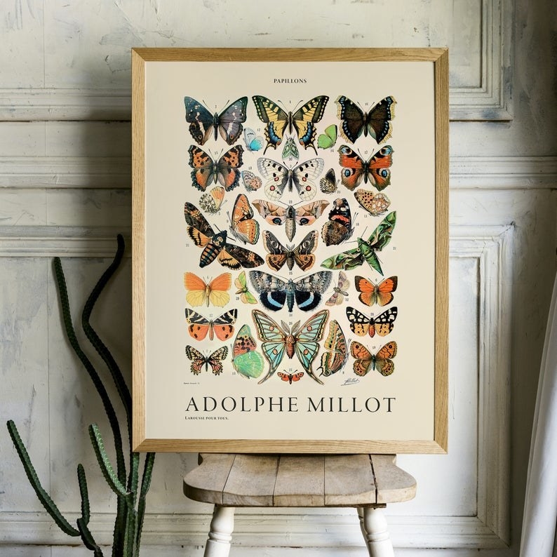 A series of illustrated butterflies on a wooden chair 