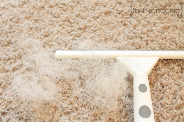 blogger&#x27;s carpet, squeegee, and pile of hair they&#x27;ve scraped up with the squeegee