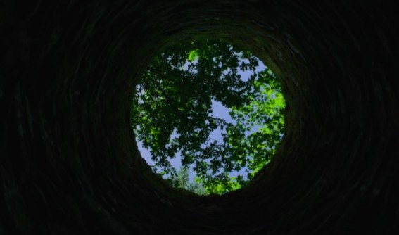 The opening of a well viewed from below; trees and sky can be seen above