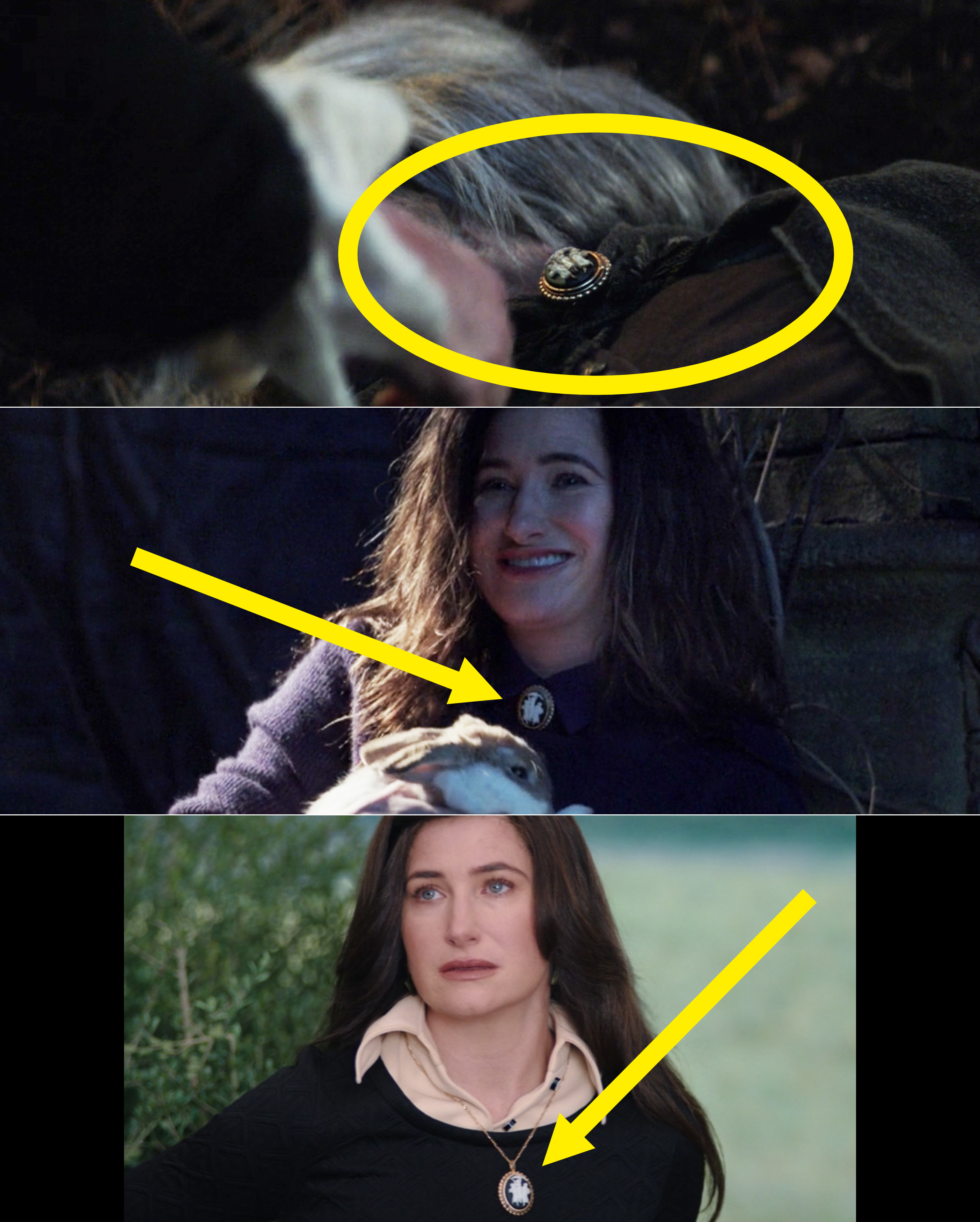 Circles and arrows pointing to Agatha wearing her broach around her neck