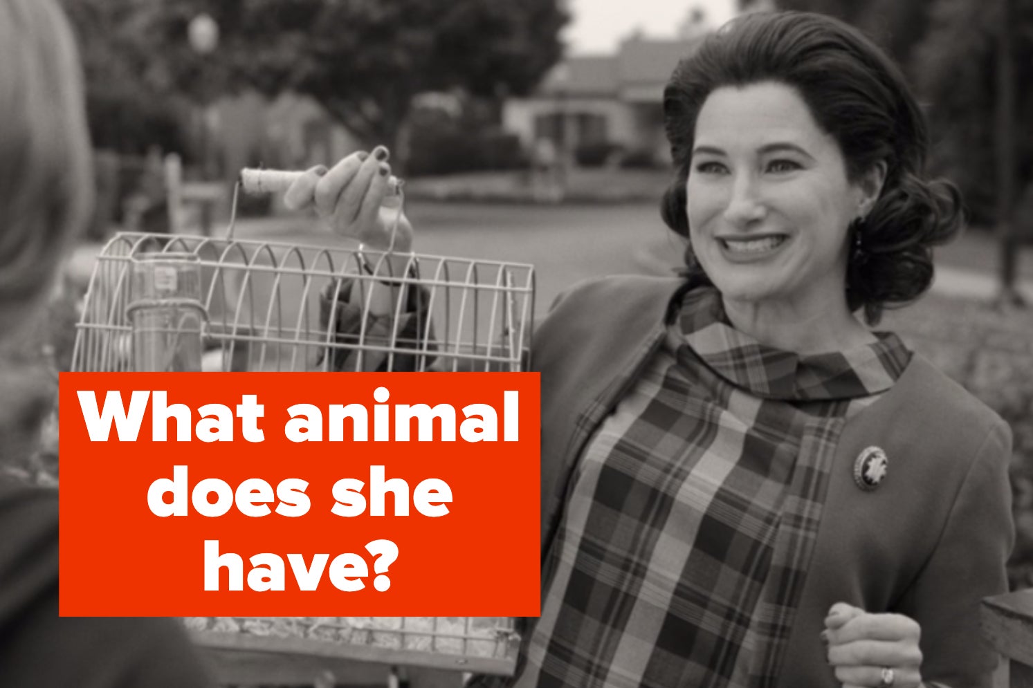 Agnes with a cage labeled