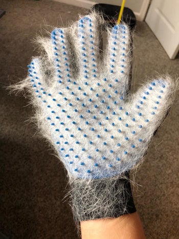 a reviewer holding the blue glove which is full of white fur