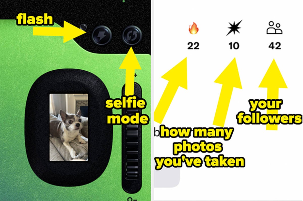 Disposable Camera Quotes