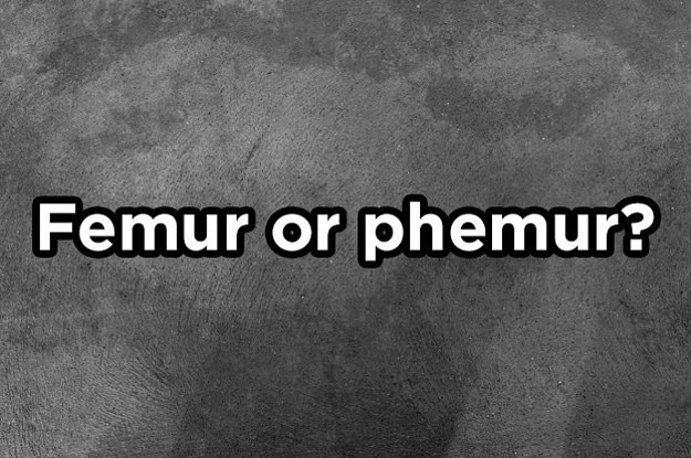 How do you spell femur?