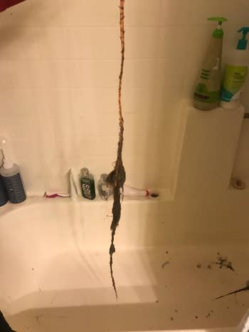 the snake drain after being used with a lot of hair on it