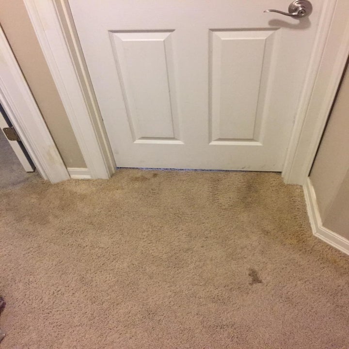 Stained carpet before using the remover