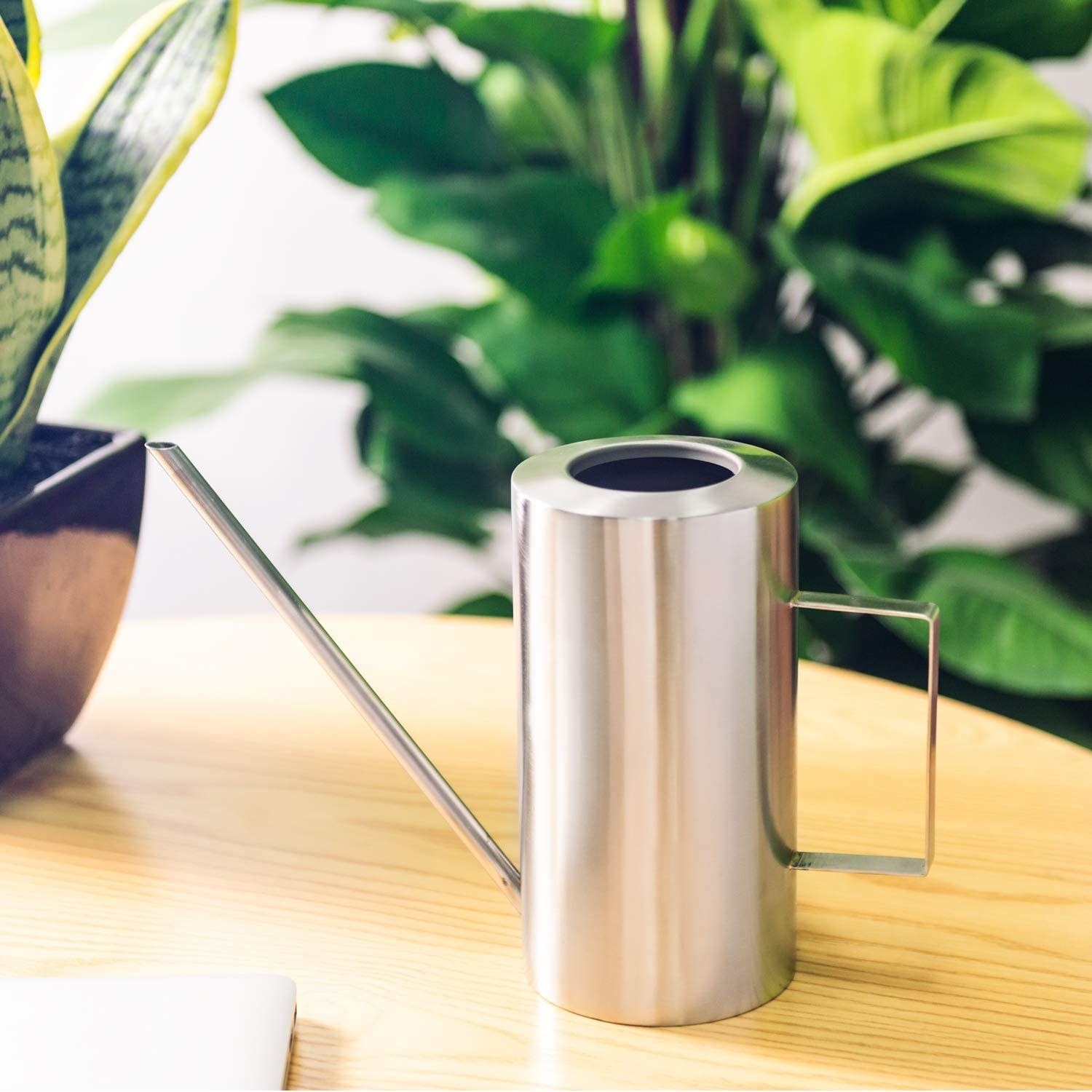 The stainless steel watering can with a long spout on a table next to a plant