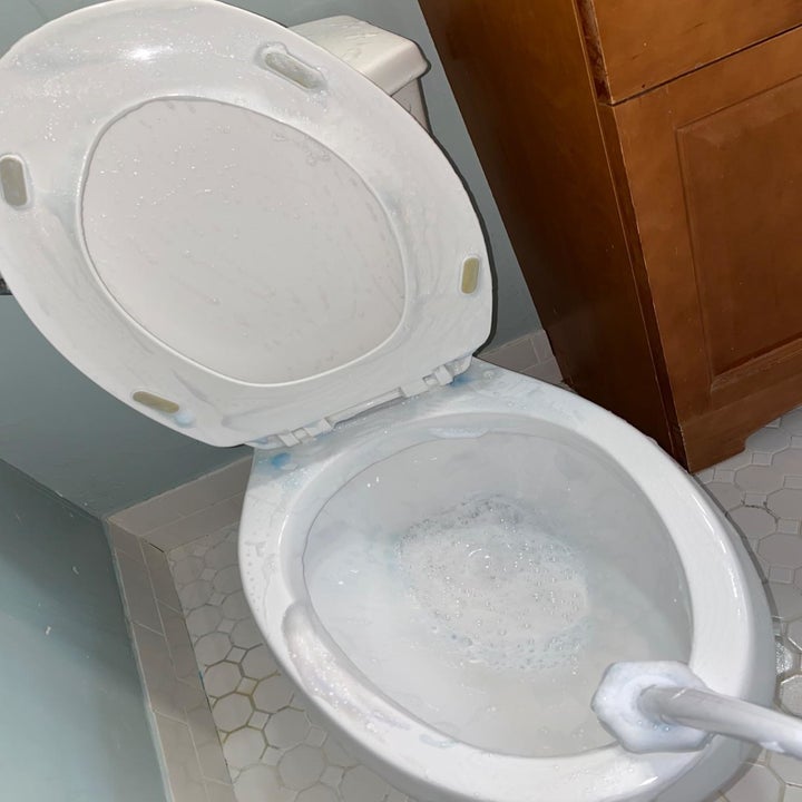 Reviewer's toilet scrubbed with cleaner from sponge head