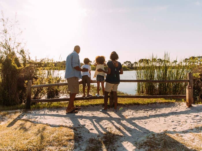 A family overlooking a marshy lake