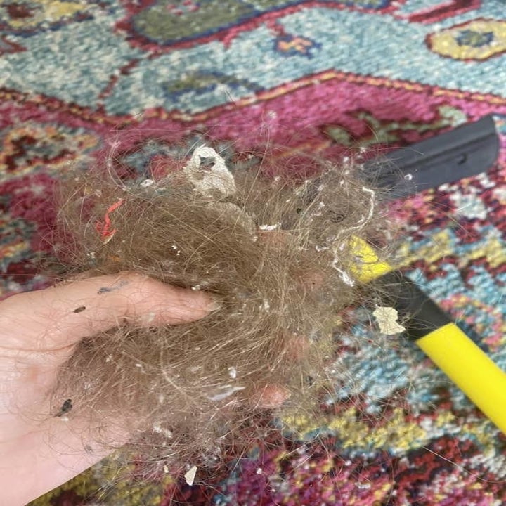 Reviewer showing pet hair caught by broom