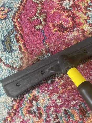 Reviewer using broom on carpet