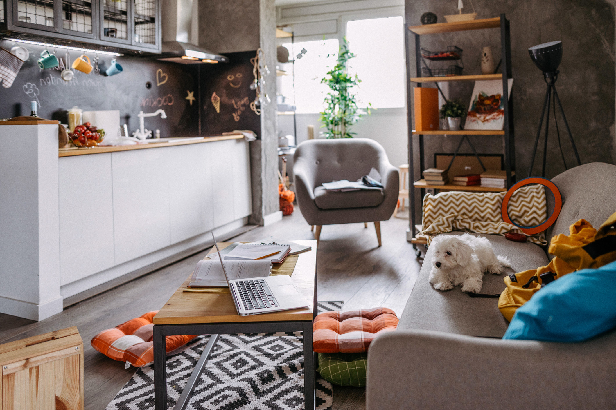 Small apartment with couch, table, and countertop