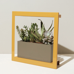 The grow frame with succulents planted in it set on a surface slightly angled