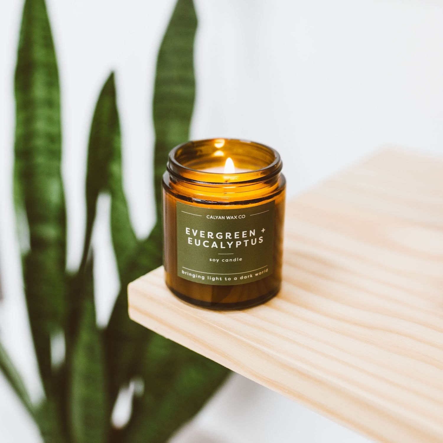 The 4-ounce evergreen and eucalyptus candle in an amber jar