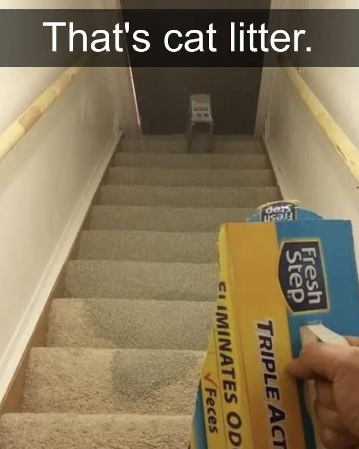 cat litter spilled all over a staircase