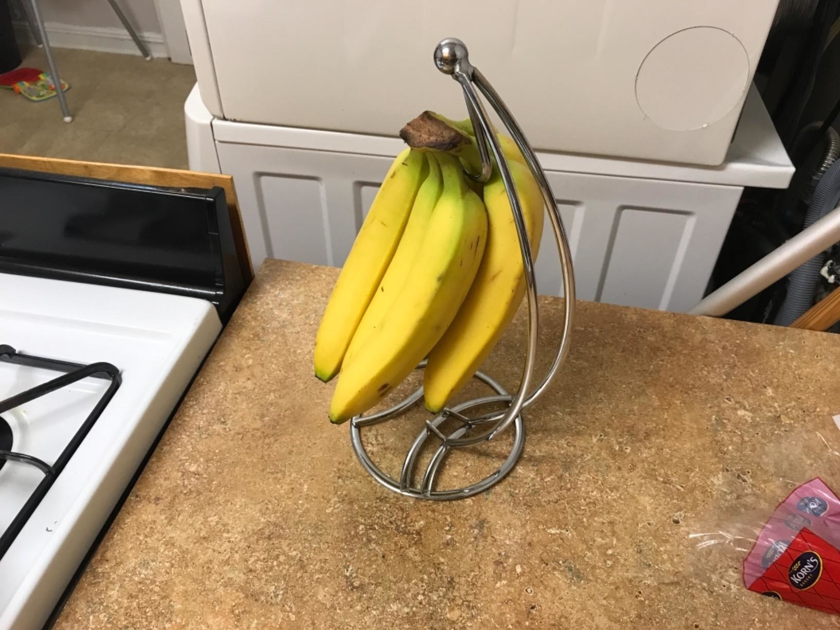 Reviewer banana bunch hanging from from wire tree