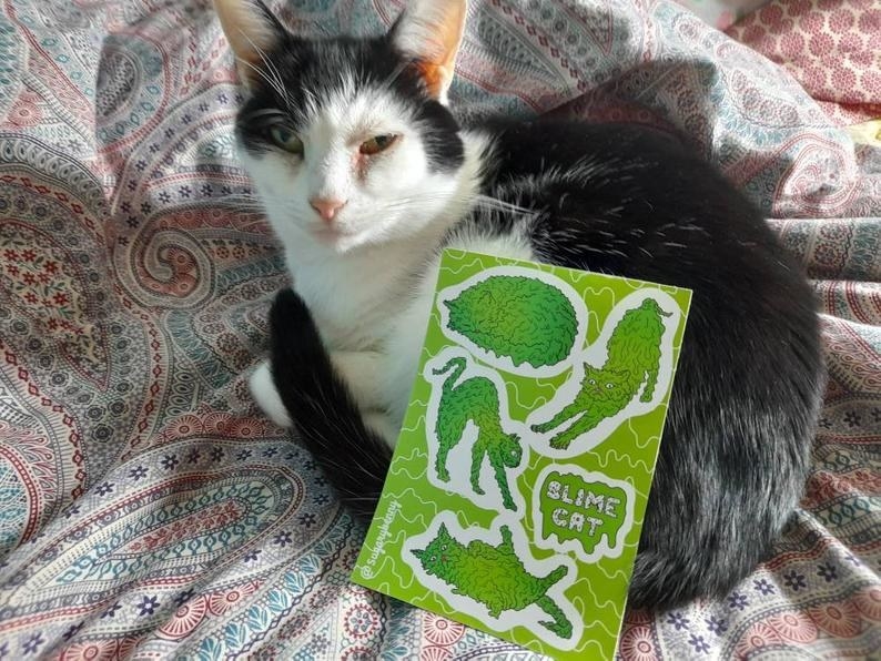 a sheet of five green slime cat stickers and a pet cat