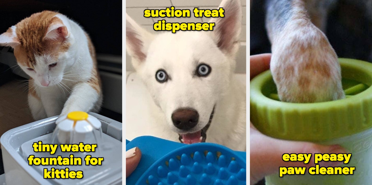 Our Go-To Pet Products That'll Make Life Easier