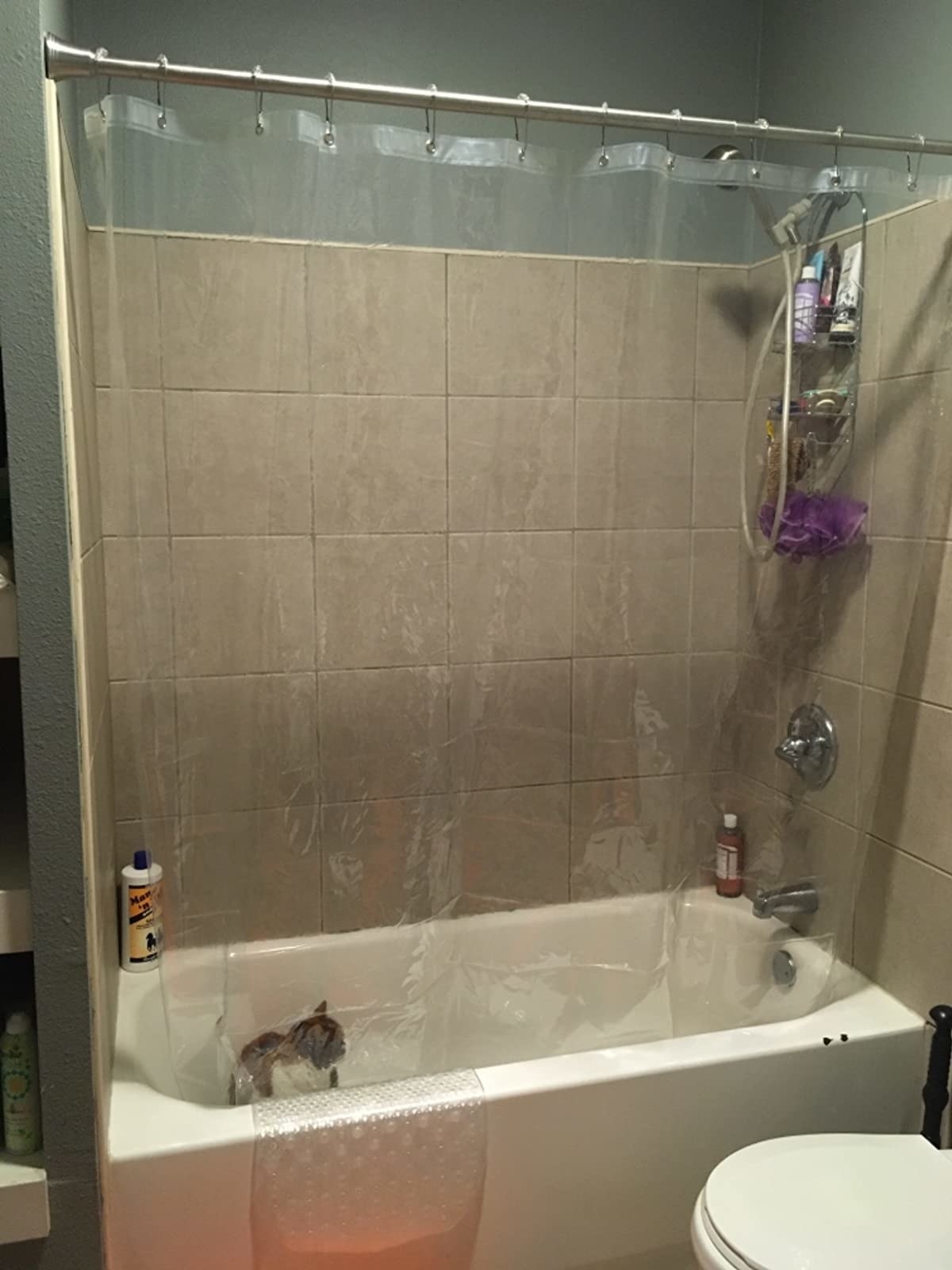 reviewer image of a cat inside a tub that has a clear AmazerBath Plastic Shower Curtain hanging from it