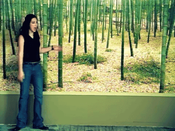 Michelle Branch singing &quot;Everywhere&quot; in front of a tree background 
