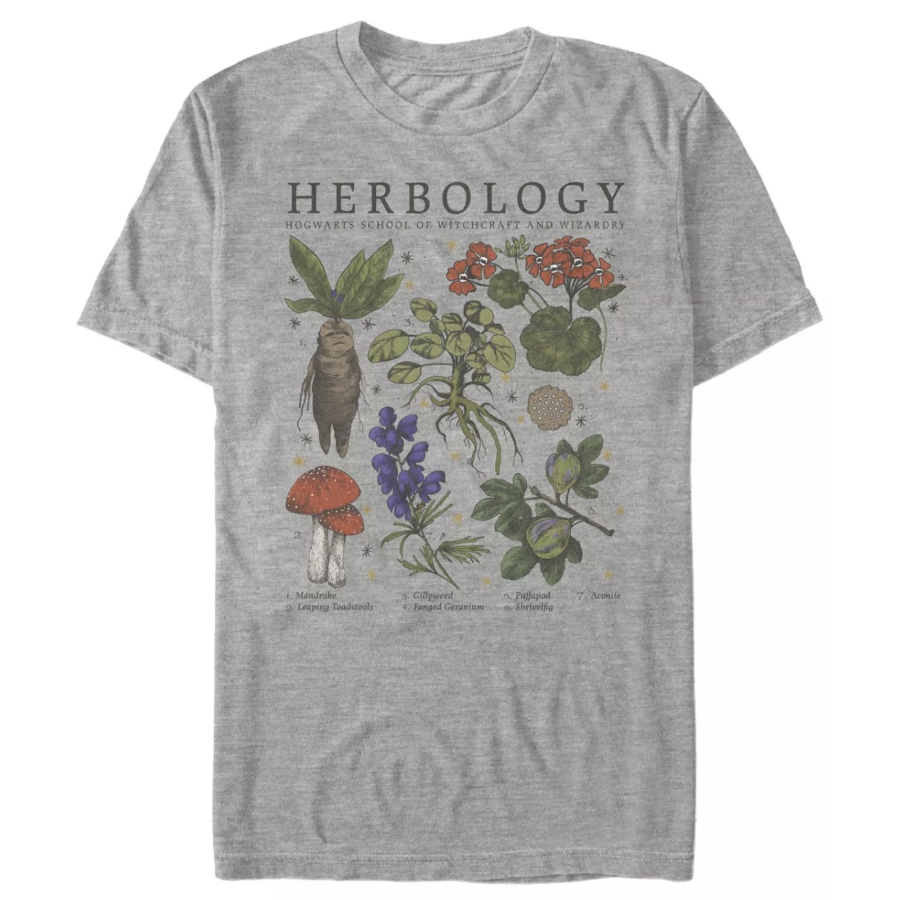 A grey t-shirt with herbs graphics on it