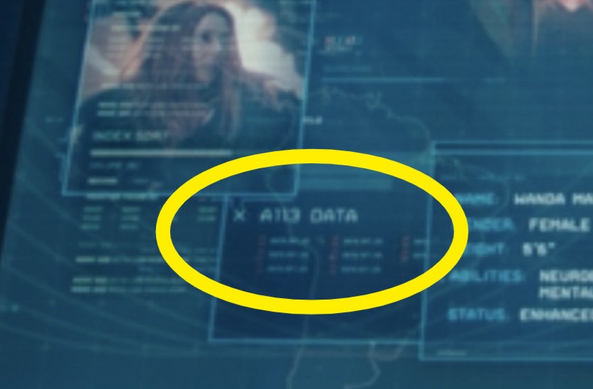 A circle around "A113 Data" on a computer monitor