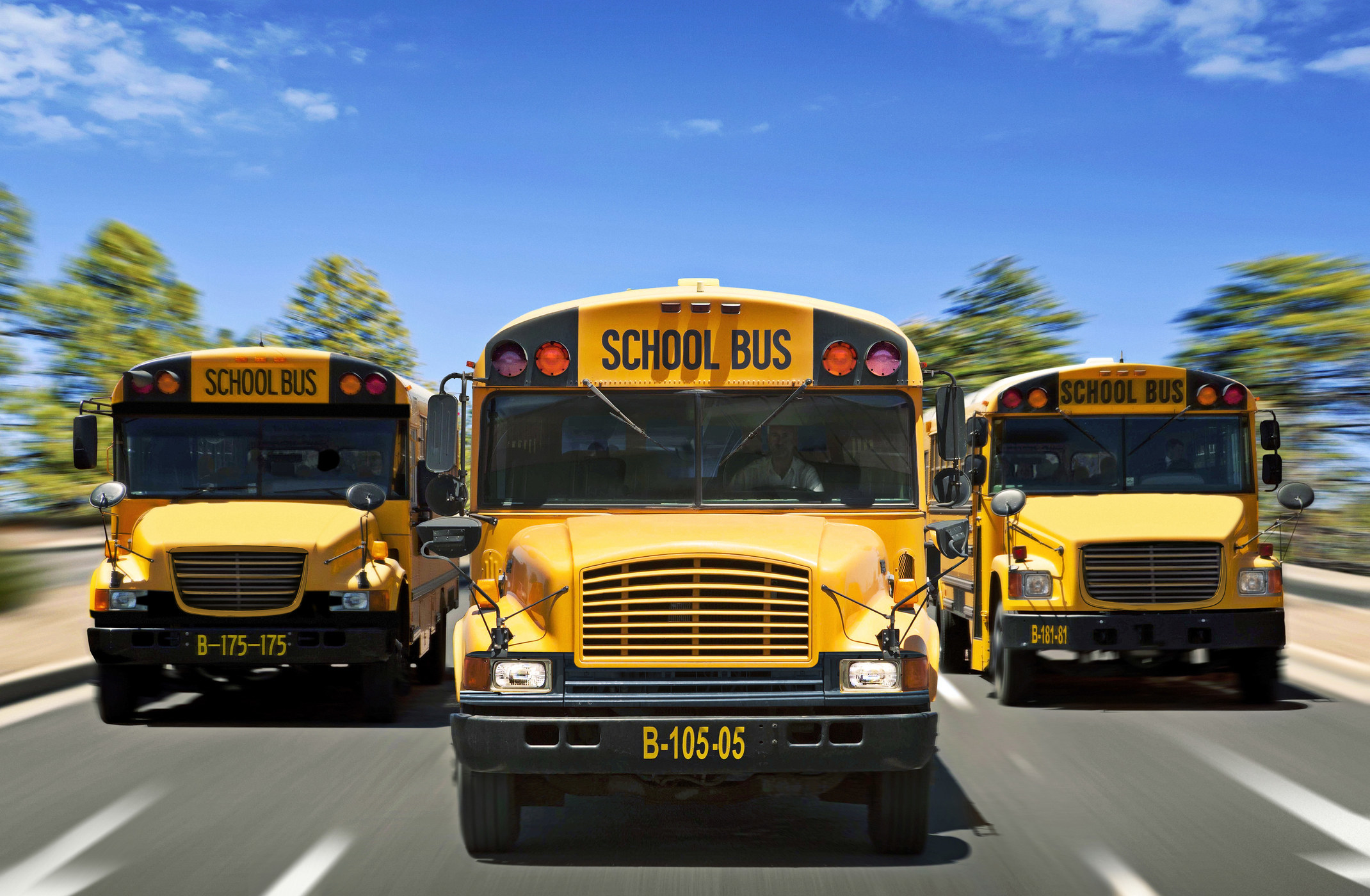 yellow schoolbuses