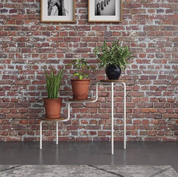 The walnut plant stand