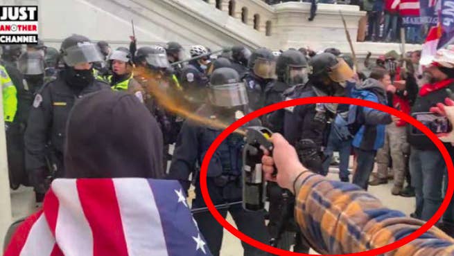 A video screenshot shows a red circle around a flannel-sleeved arm shooting Mace at a group of cops