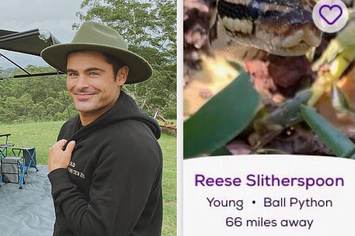 Zac Efron side by side with a snake called Reese Slitherspoon