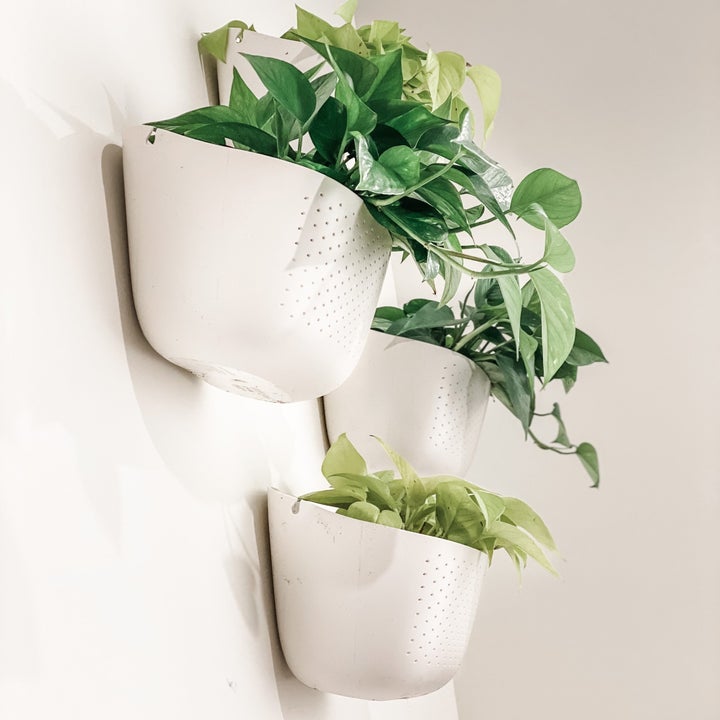 Three wall planters in the color white with plants inside them