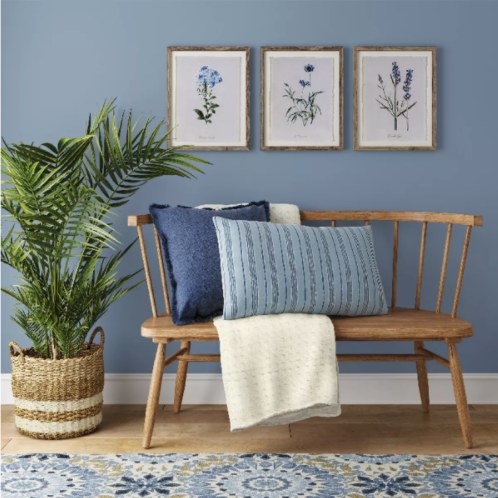 The framed botanical prints hanging horizontally on a wall