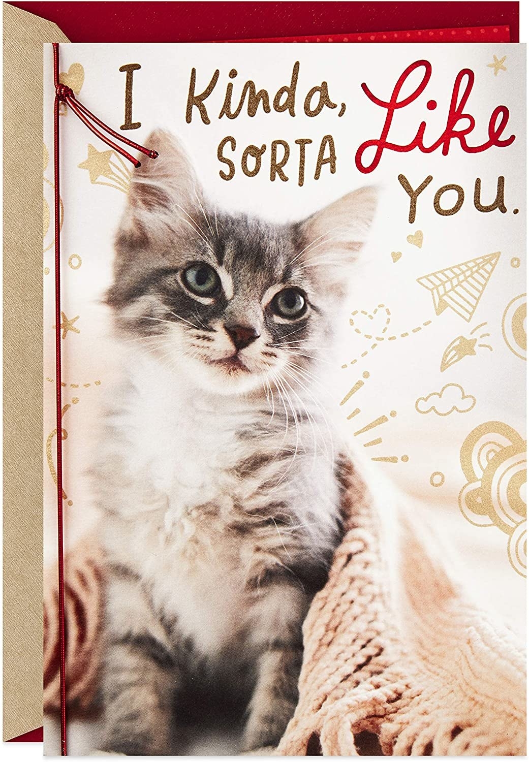 A photo of a cat with the words &quot;I kinda, sorta like you&quot; in red and gold