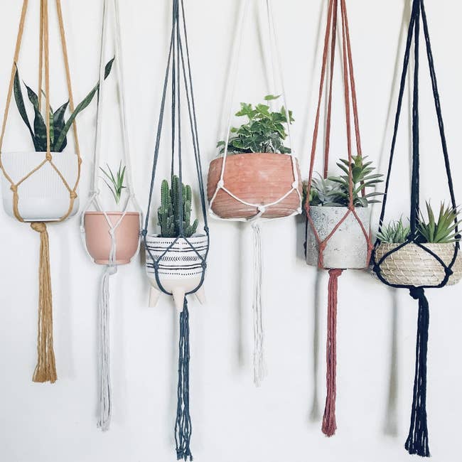 Six macrame hangers in different colors holding planters of different sizes