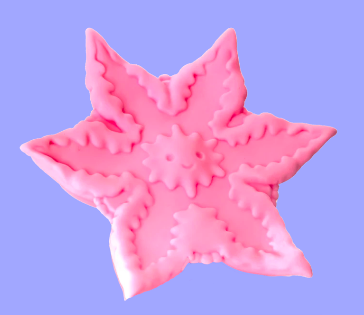 Starfish shaped toy with smiley face in center 