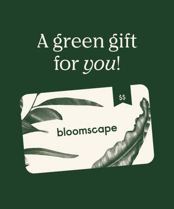 A Bloomscape giftcard